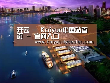 案例展示八