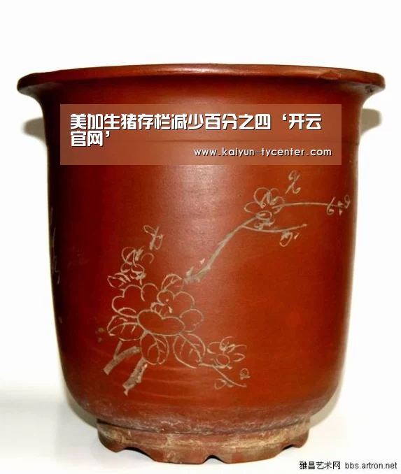 开云官网
