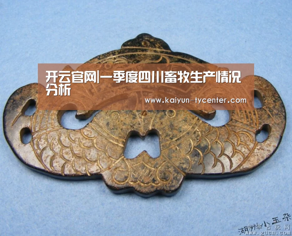 开云体育